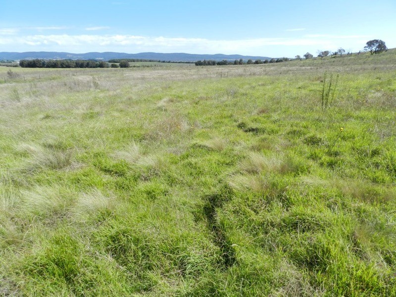 3830 Braidwood  Road, Goulburn NSW 2580