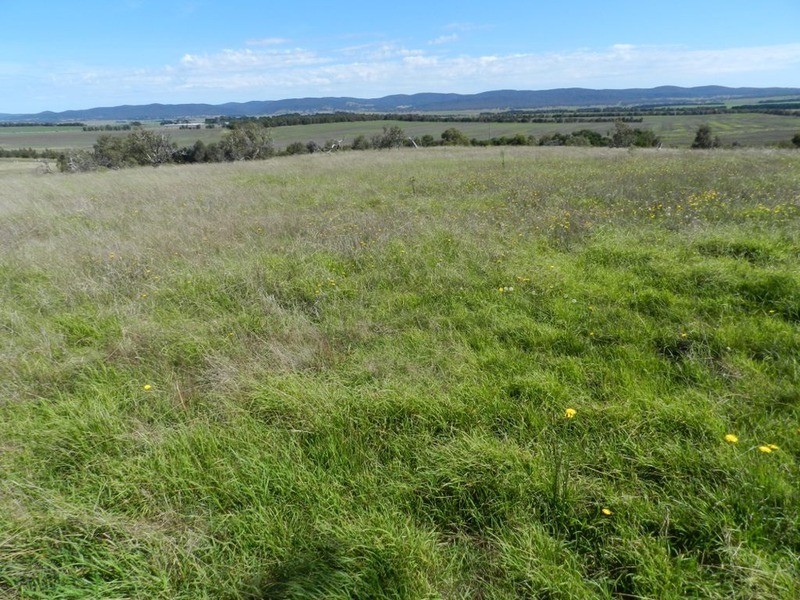 3830 Braidwood  Road, Goulburn NSW 2580