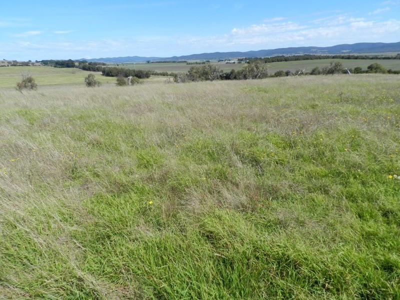 3830 Braidwood  Road, Goulburn NSW 2580
