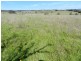 3830 Braidwood  Road, Goulburn NSW 2580