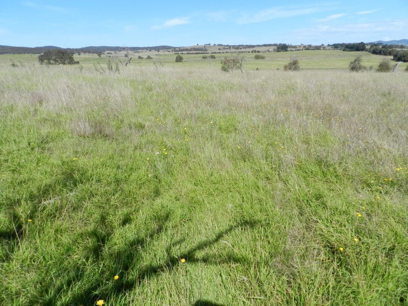 3830 Braidwood  Road, Goulburn NSW 2580