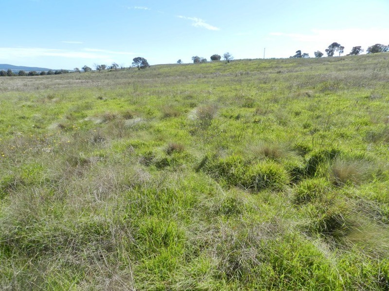 3830 Braidwood  Road, Goulburn NSW 2580