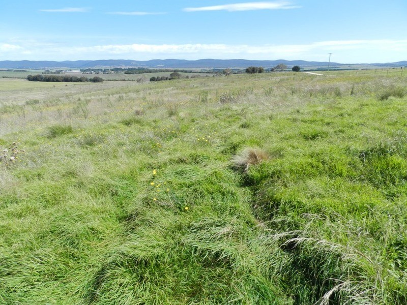 3830 Braidwood  Road, Goulburn NSW 2580