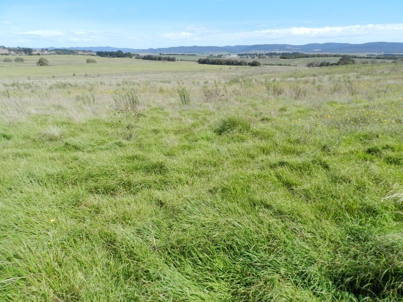 3830 Braidwood  Road, Goulburn NSW 2580