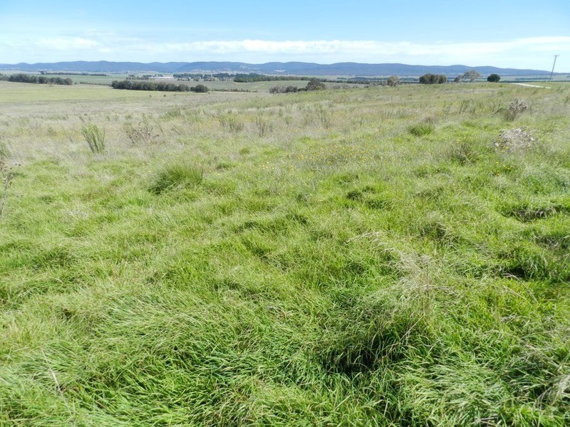 3830 Braidwood  Road, Goulburn NSW 2580