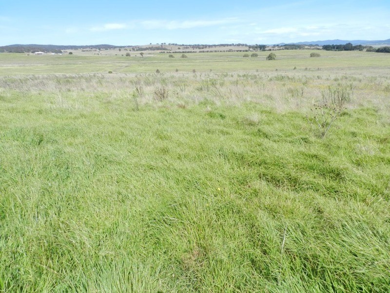 3830 Braidwood  Road, Goulburn NSW 2580