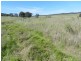 3830 Braidwood  Road, Goulburn NSW 2580