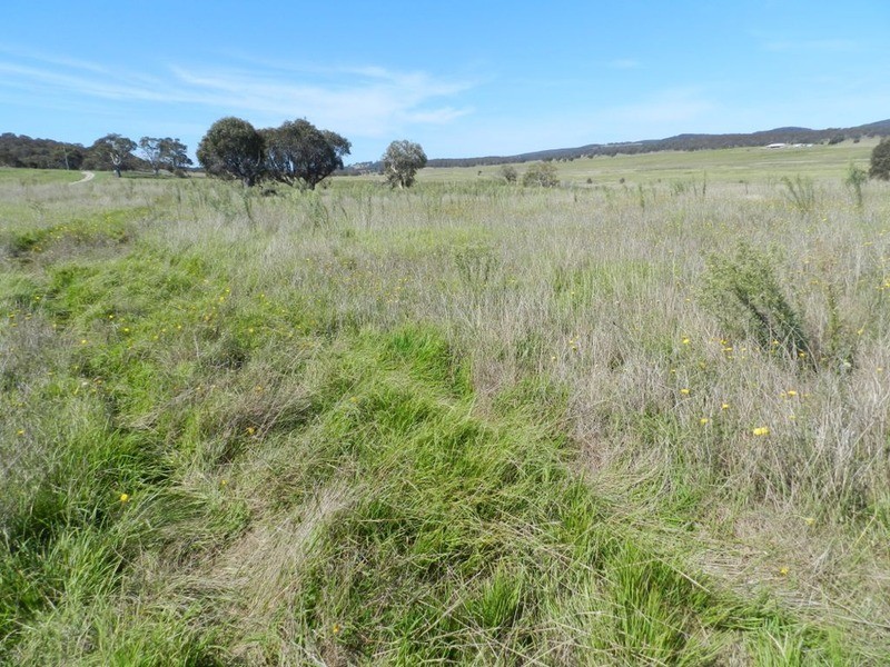 3830 Braidwood  Road, Goulburn NSW 2580