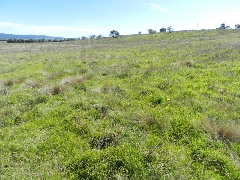 3830 Braidwood  Road, Goulburn NSW 2580