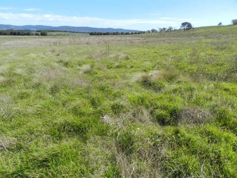 3830 Braidwood  Road, Goulburn NSW 2580