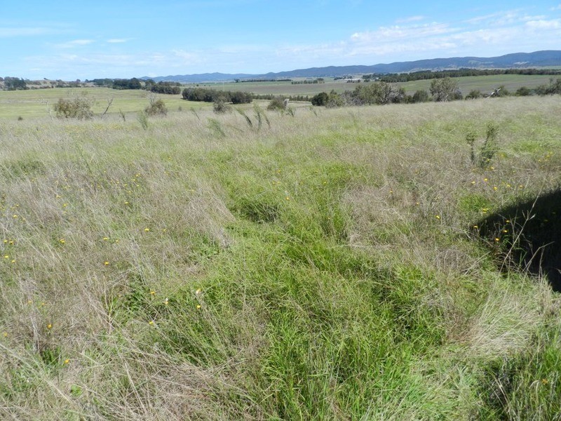 3830 Braidwood  Road, Goulburn NSW 2580