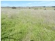 3830 Braidwood  Road, Goulburn NSW 2580
