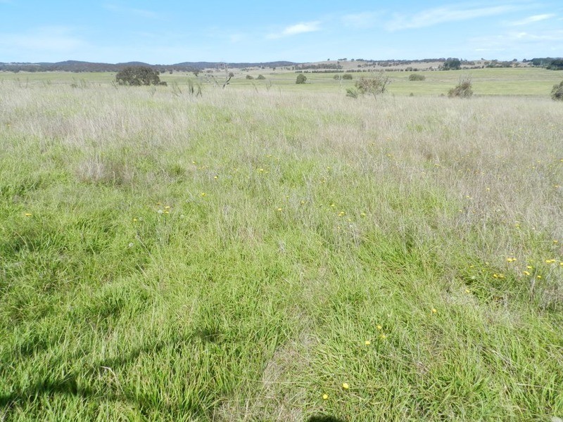 3830 Braidwood  Road, Goulburn NSW 2580