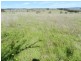 3830 Braidwood  Road, Goulburn NSW 2580
