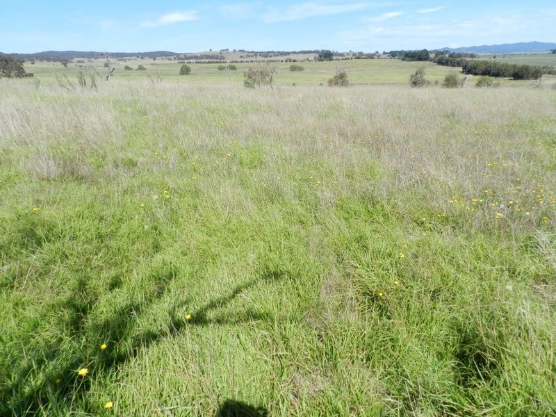 3830 Braidwood  Road, Goulburn NSW 2580