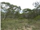 1018 Wombeyan Caves Road, Taralga NSW 2580