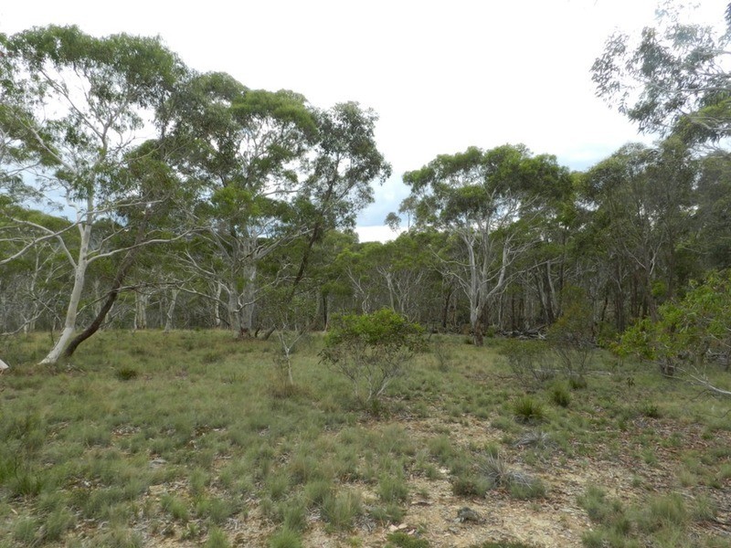 1018 Wombeyan Caves Road, Taralga NSW 2580