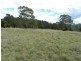 1018 Wombeyan Caves Road, Taralga NSW 2580