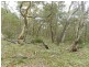 1018 Wombeyan Caves Road, Taralga NSW 2580