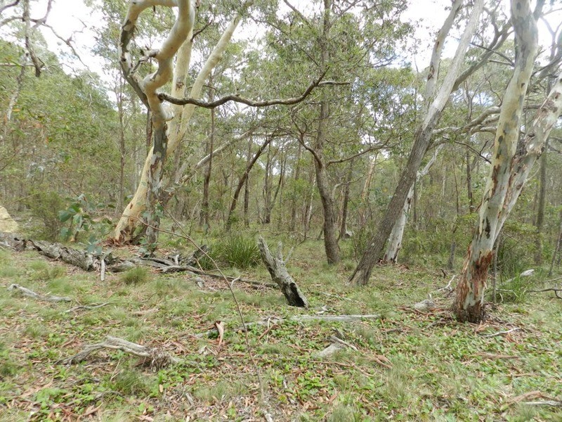 1018 Wombeyan Caves Road, Taralga NSW 2580