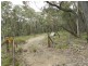 1018 Wombeyan Caves Road, Taralga NSW 2580
