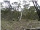 1018 Wombeyan Caves Road, Taralga NSW 2580