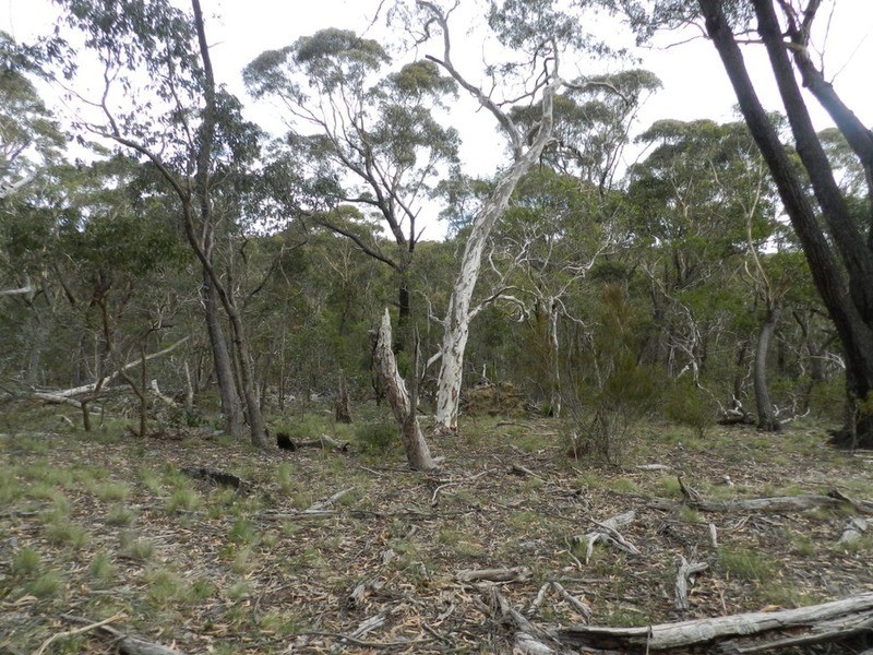 1018 Wombeyan Caves Road, Taralga NSW 2580