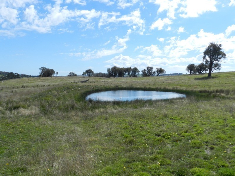 1808 Peelwood Road, Laggan NSW 2583