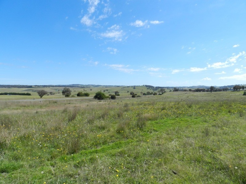 1808 Peelwood Road, Laggan NSW 2583