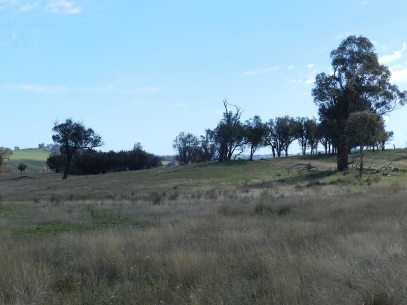 1808 Peelwood Road, Laggan NSW 2583
