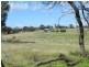 1808 Peelwood Road, Laggan NSW 2583