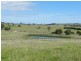 1808 Peelwood Road, Laggan NSW 2583