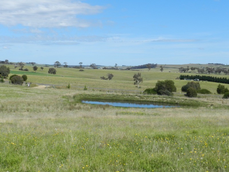 1808 Peelwood Road, Laggan NSW 2583