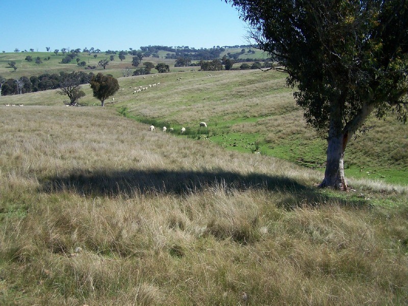 Lot 1 Bevendale  Road, Bevendale NSW 2581