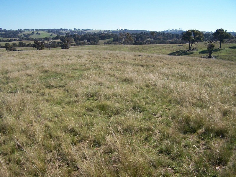 Lot 1 Bevendale  Road, Bevendale NSW 2581