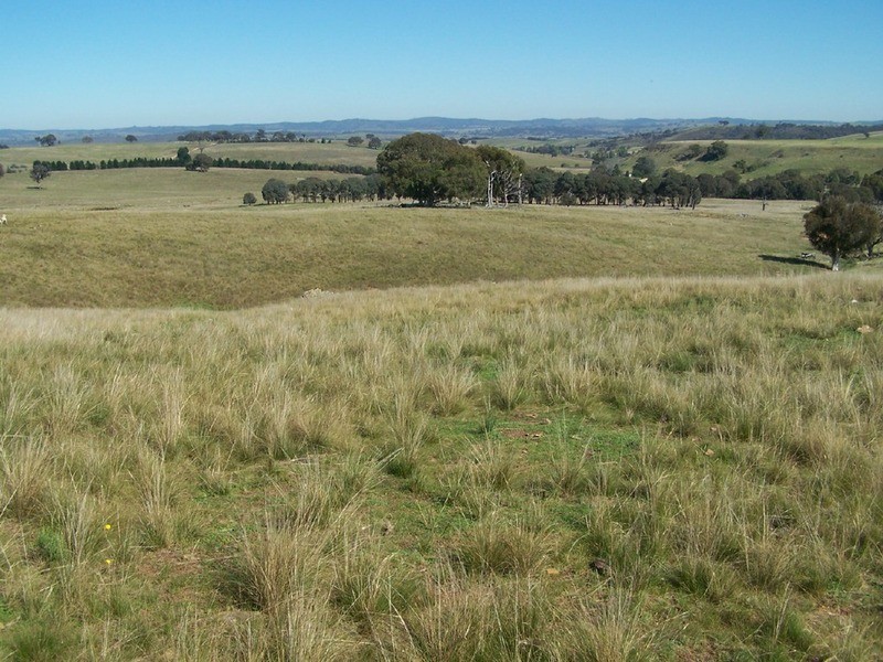 Lot 1 Bevendale  Road, Bevendale NSW 2581