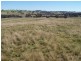 Lot 1 Bevendale  Road, Bevendale NSW 2581