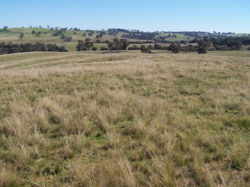 Lot 1 Bevendale  Road, Bevendale NSW 2581