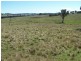 Lot 1 Bevendale  Road, Bevendale NSW 2581