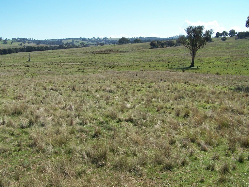 Lot 1 Bevendale  Road, Bevendale NSW 2581