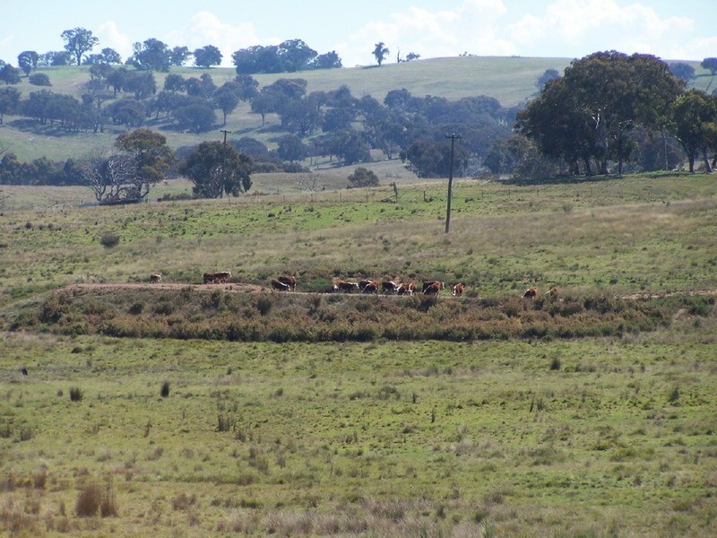 Lot 1 Bevendale  Road, Bevendale NSW 2581