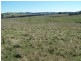 Lot 1 Bevendale  Road, Bevendale NSW 2581