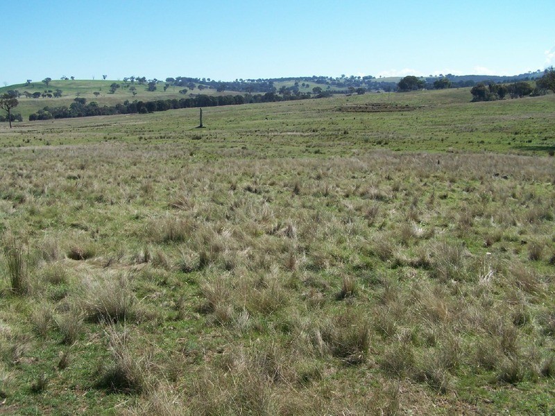 Lot 1 Bevendale  Road, Bevendale NSW 2581