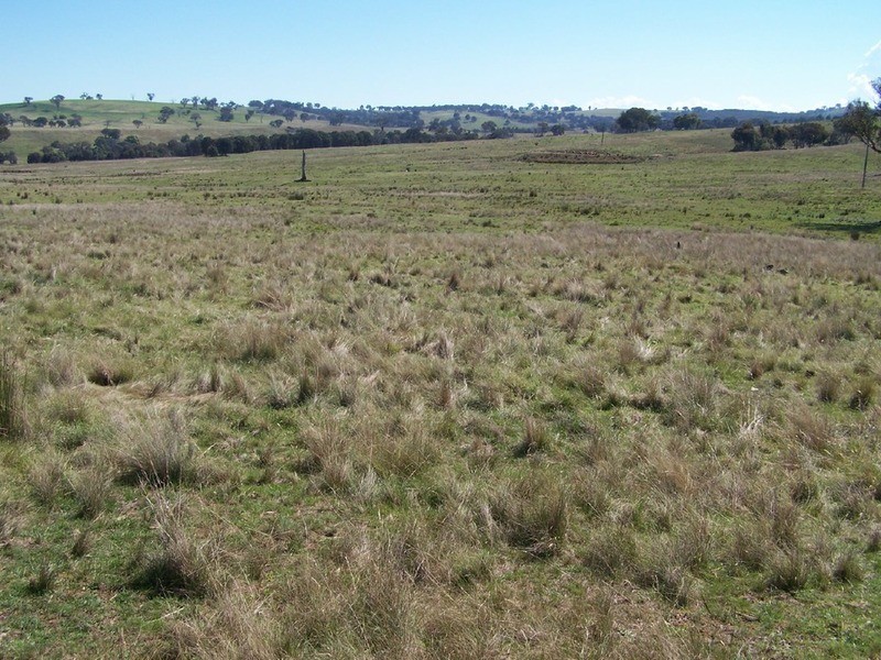 Lot 1 Bevendale  Road, Bevendale NSW 2581