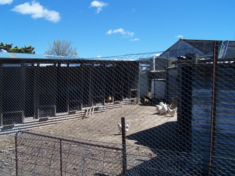 1 Bishop Street, Binda NSW 2583