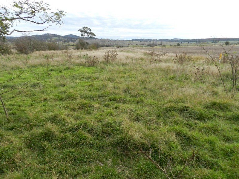 5017 Braidwood  Road, Tirrannaville NSW 2580
