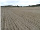5017 Braidwood  Road, Tirrannaville NSW 2580