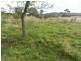 5017 Braidwood  Road, Tirrannaville NSW 2580
