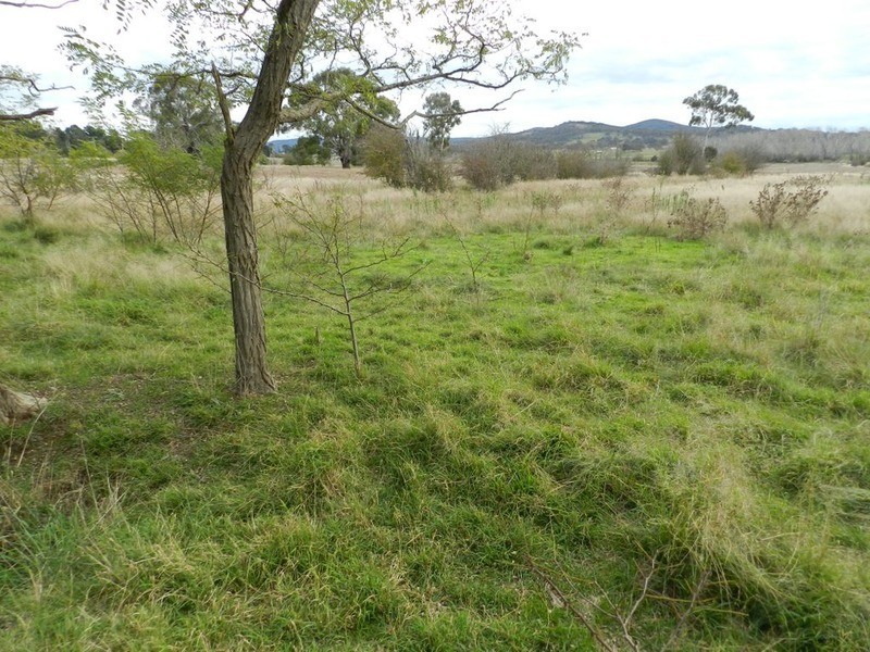 5017 Braidwood  Road, Tirrannaville NSW 2580
