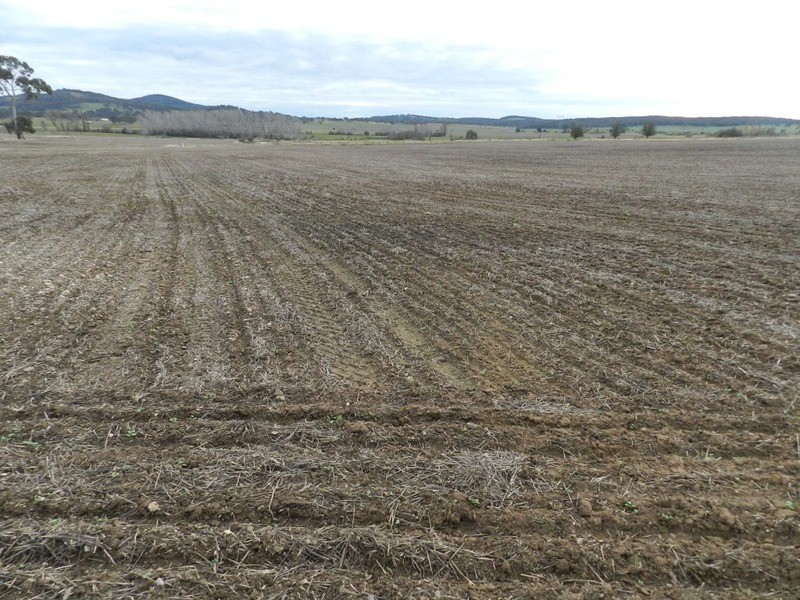 5017 Braidwood  Road, Tirrannaville NSW 2580
